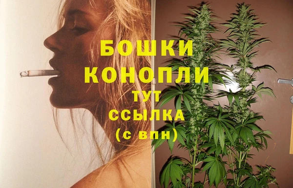 PSILOCYBIN Белоозёрский